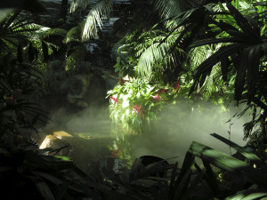 Mock Rainforest